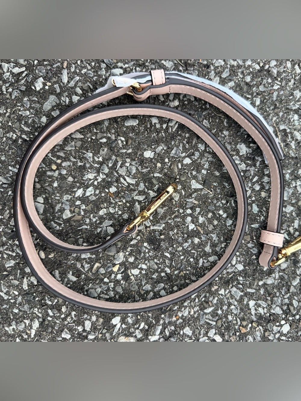 Michael Kors Genuine Leather Crossbody Strap in Blush Pink with Gold Hardware